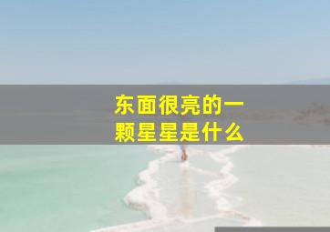 东面很亮的一颗星星是什么