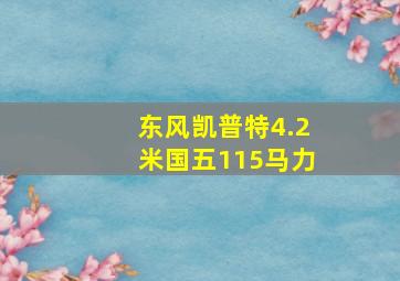 东风凯普特4.2米国五115马力