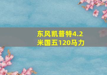 东风凯普特4.2米国五120马力