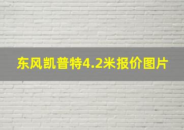 东风凯普特4.2米报价图片