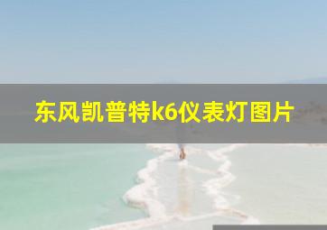 东风凯普特k6仪表灯图片