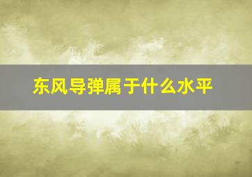 东风导弹属于什么水平