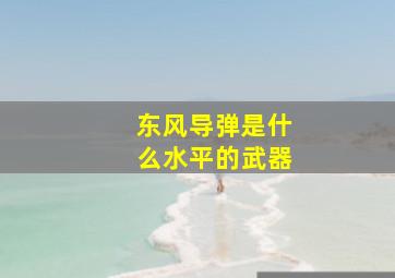 东风导弹是什么水平的武器