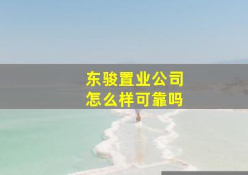 东骏置业公司怎么样可靠吗