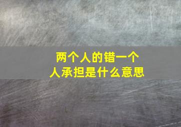 两个人的错一个人承担是什么意思