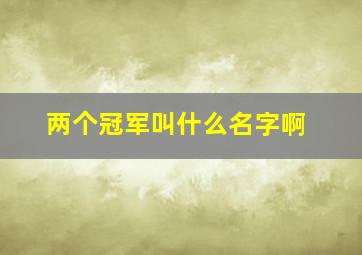 两个冠军叫什么名字啊