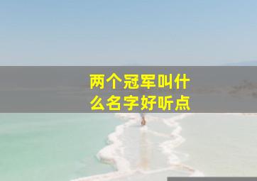 两个冠军叫什么名字好听点