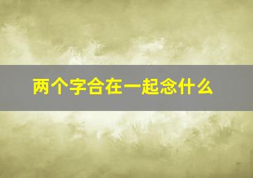 两个字合在一起念什么