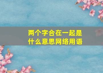 两个字合在一起是什么意思网络用语