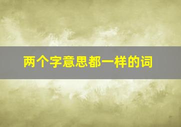 两个字意思都一样的词