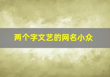 两个字文艺的网名小众