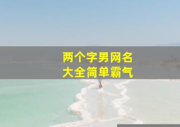 两个字男网名大全简单霸气