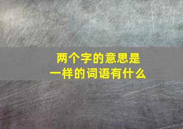 两个字的意思是一样的词语有什么