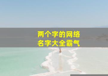 两个字的网络名字大全霸气