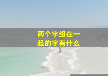 两个字组在一起的字有什么