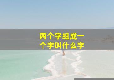 两个字组成一个字叫什么字