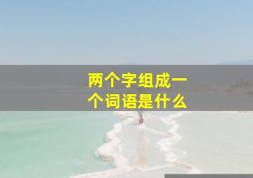 两个字组成一个词语是什么