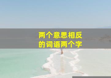 两个意思相反的词语两个字