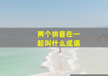 两个拼音在一起叫什么成语