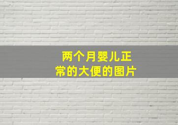 两个月婴儿正常的大便的图片