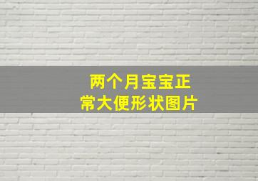 两个月宝宝正常大便形状图片