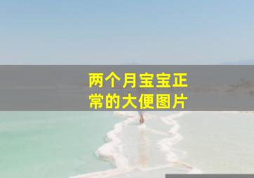 两个月宝宝正常的大便图片