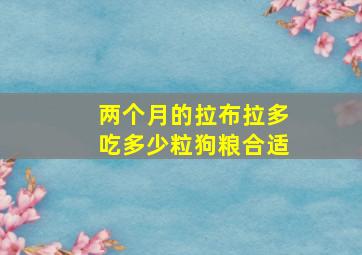 两个月的拉布拉多吃多少粒狗粮合适