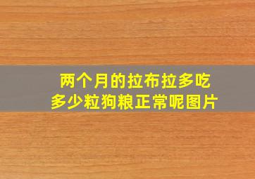 两个月的拉布拉多吃多少粒狗粮正常呢图片