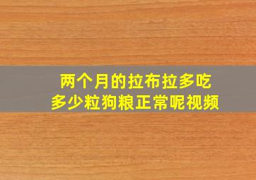 两个月的拉布拉多吃多少粒狗粮正常呢视频