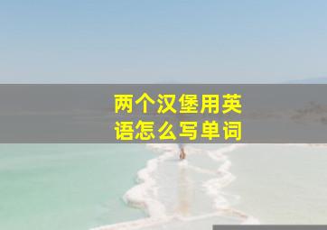 两个汉堡用英语怎么写单词