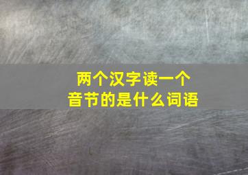 两个汉字读一个音节的是什么词语