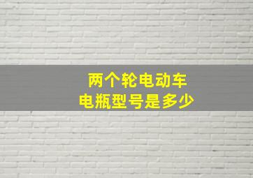 两个轮电动车电瓶型号是多少