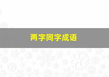 两字同字成语