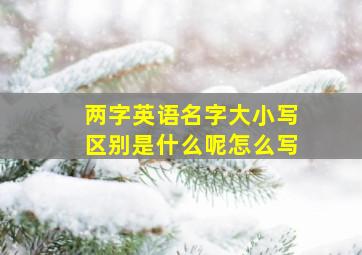 两字英语名字大小写区别是什么呢怎么写