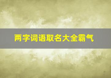 两字词语取名大全霸气