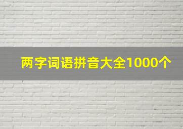 两字词语拼音大全1000个