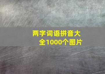 两字词语拼音大全1000个图片