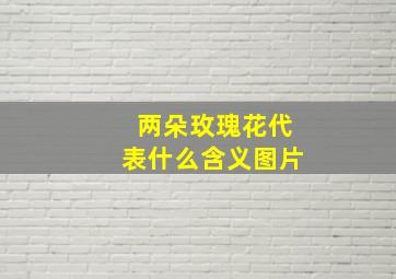 两朵玫瑰花代表什么含义图片