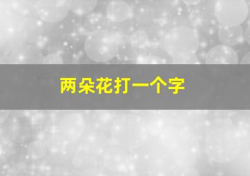 两朵花打一个字