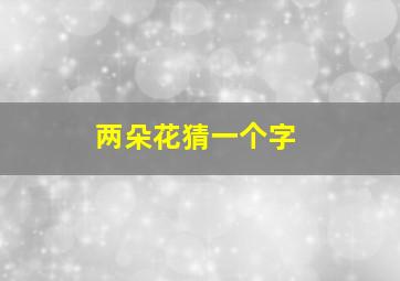 两朵花猜一个字