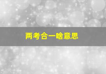 两考合一啥意思