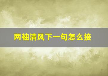 两袖清风下一句怎么接