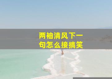 两袖清风下一句怎么接搞笑