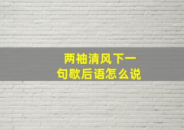 两袖清风下一句歇后语怎么说