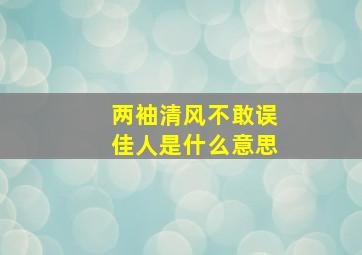 两袖清风不敢误佳人是什么意思