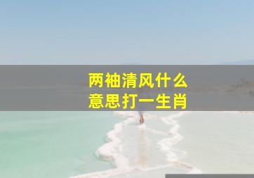 两袖清风什么意思打一生肖