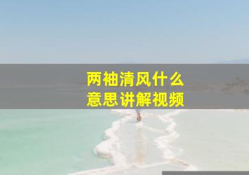 两袖清风什么意思讲解视频