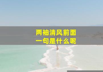 两袖清风前面一句是什么呢