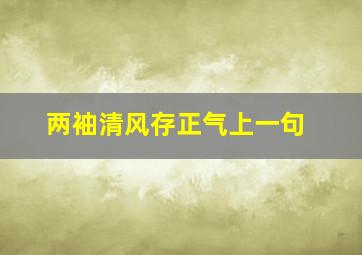 两袖清风存正气上一句