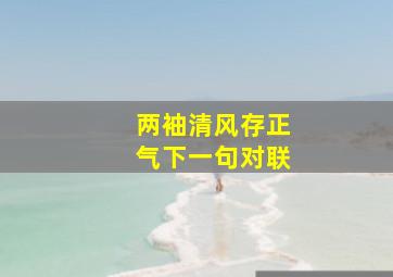 两袖清风存正气下一句对联